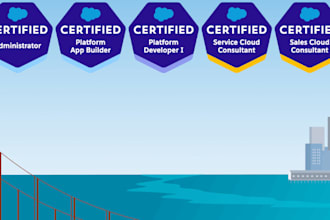 architect design and develop your salesforce solution