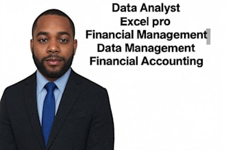 be your data analyst and do financial management and accounting