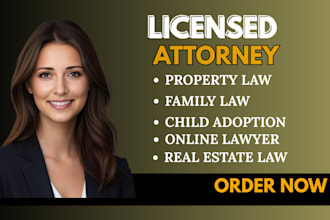 be online lawyer for real estate law property law family law child adoption
