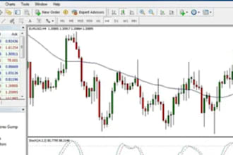 code expert advisor, mt4 mt5, using mql, forex bot, indicator, trading robot