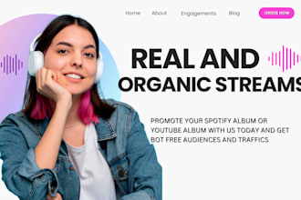 give organic promotion on youtube and spotify album