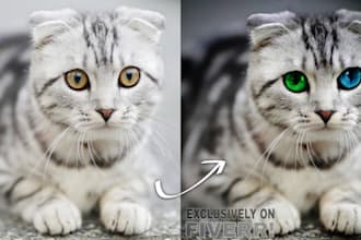 photoshop editing and photo manipulation