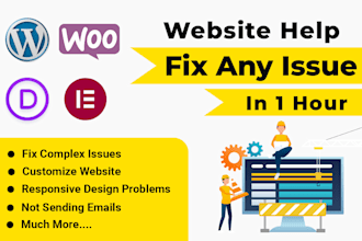 do wordpress bug fix and provide wordpress maintenance