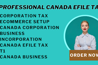 efile canada corporation tax t2 canada as CPA business tax canada personal tax