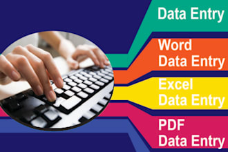 do data entry, web research, convert pdf to word, ms, excel data entry