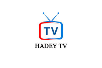 design professional iptv logo for your business or brand and online store