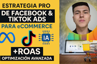 create a pro strategy for facebook y tiktok ads for ecommerce