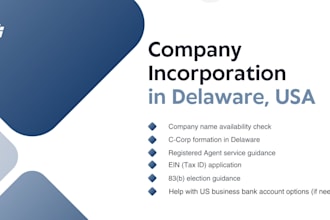 incorporate your company in the US, namely in delaware