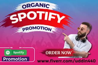 do professional spotify music promotion