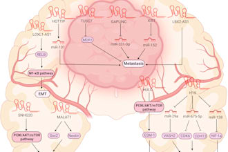 design scientific illustrations, journal figures, and graphical abstracts