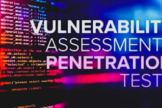 do penetration test of your website or app and provide detailed report