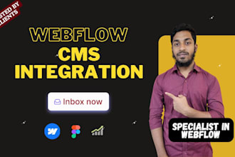 do expert webflow cms integration and customization services