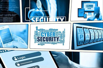 do advance penetration on web site,pen test server and vulnerability assessment