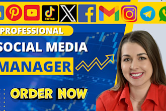 manage all social media accounts facebook instagram linkedin tiktok youtube x