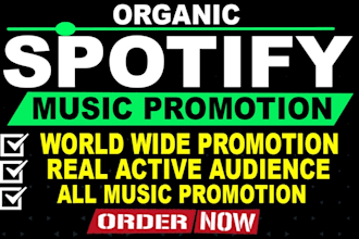 promote your spotify music spotify ads organic album campaigns for real growth