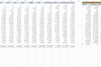 excel expert  dashboards and pivot tablesand advanced formulas and charts