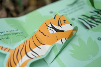 design a pop up book for your brand, for fun or for business