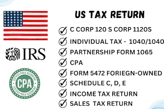 do US tax filing llc tax CPA business account individual account tax return