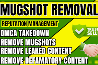 permanently remove mugshots, delete negative links on google search results, ORM