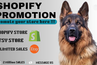 do shopify dropshipping ecommerce marketing etsy ebay promotion to boost sales