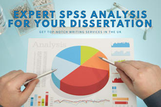 conduct expert spss and stata statisical analysis for you