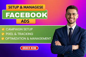 setup facebook ads campaign for massive sales