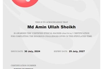 install kali linux, burp suite, and ethical hacking training