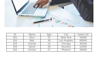 perform data entry, excel work, and file conversion