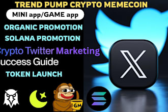 manage x twitter marketing and promotion for memecoin, solana, with web3 project