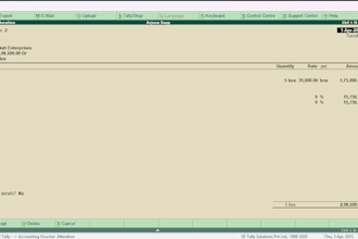 create invoices and manage accounting in tally erp 9