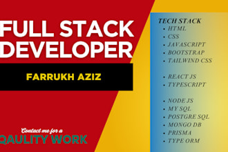 professional full stack developer offering custom website development services