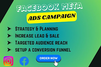 set up a professional facebook ads campaign instagram and meta ads campaign