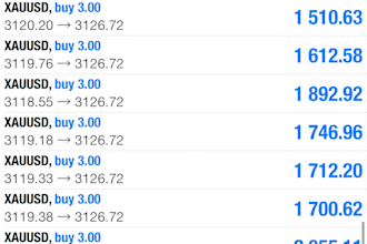 install profitable forex trading bot, forex trading robot, forex trading bot