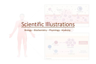 do scientific illustrations and diagrams