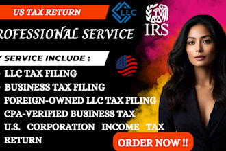 do llc corporate business efile usa tax returns, 1065 1120 1040 business tax cpa