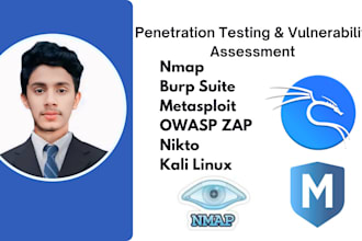 do expert vulnerability assessment and penetration testing