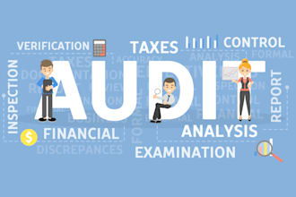 professional audit services internal and external compliance