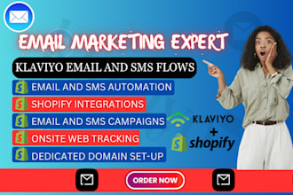 setup advance klaviyo flows, popup forms, leads segmentation