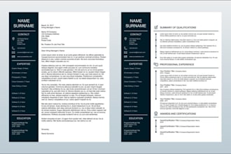 provide professional resume writing, executive resume and cover letter