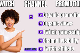 do organic twitch channel promotion