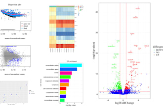 perform big data analysis, cleaning, visualization using python, r and linux