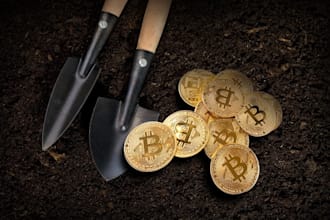 build you mining pool, staking pool