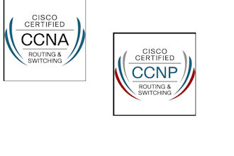 automate the network and build good network monitoring setup