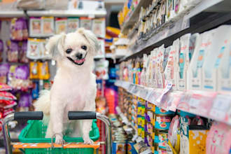 do massive promotion for your pet store, pet product, animal website