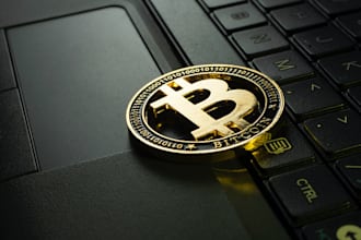 build develop high profitable bitcoin bot on your smartphone or pc