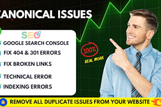 fix 301 redirects, 404 errors, broken links, indexing issues, and gsc errors