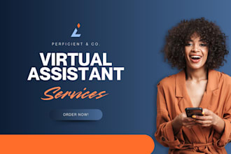 virtual assistant for data entry, web research, and admin support expert tasks