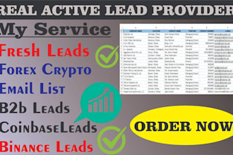 deliver recovery lead, investor lead, depositor lead,forex lead