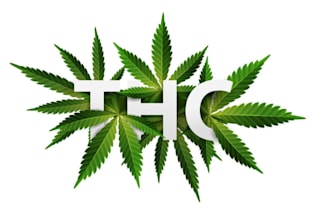 design cannabis and weed logo 17 hours
