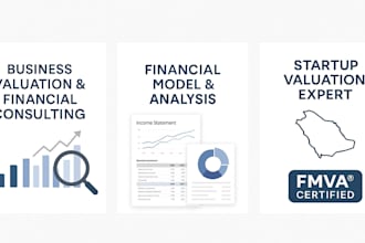 provide professional business valuation report